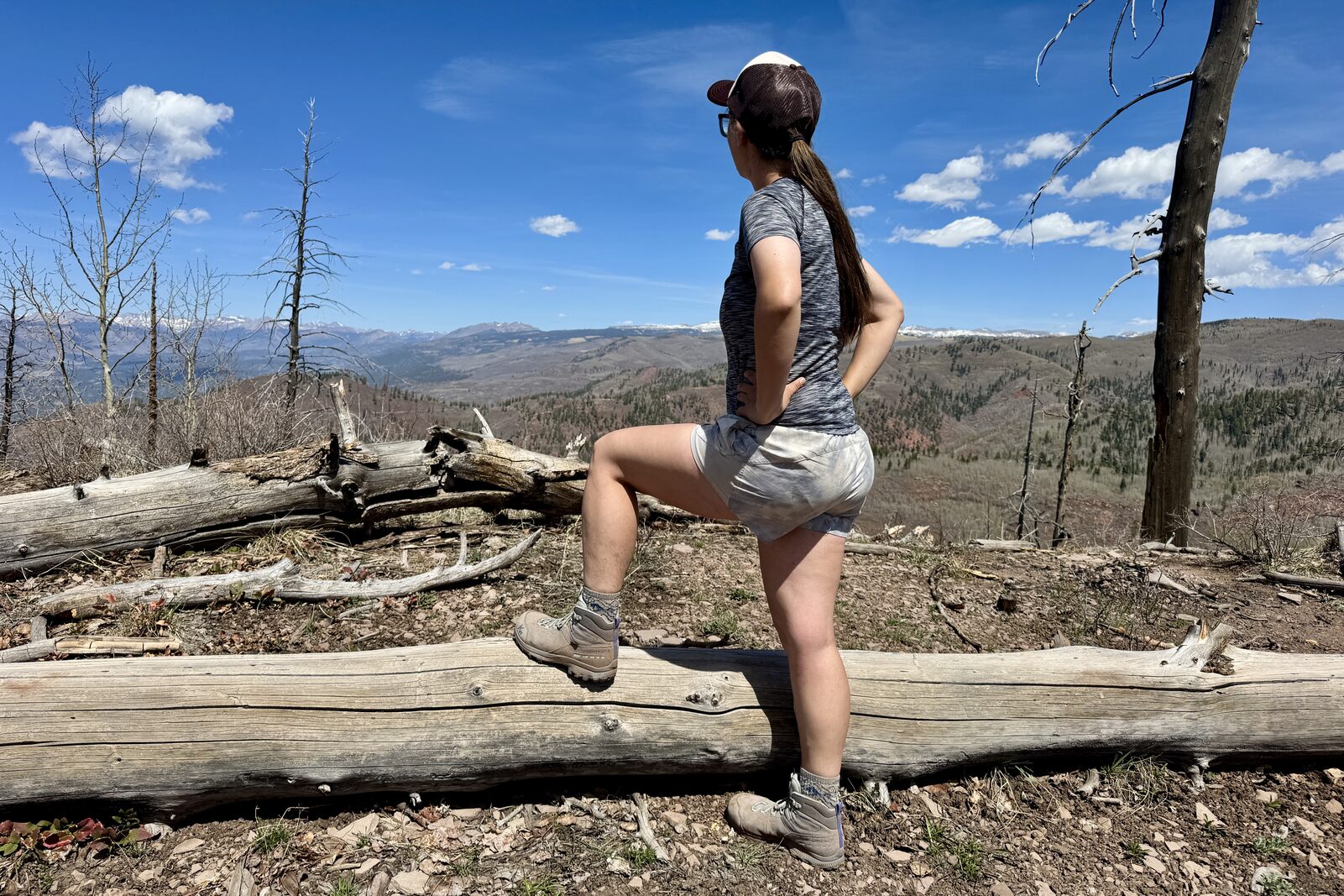 A person wearing the TX Hike boots is standing looking at a view of some mountains in the distance with their foot propped up on a log.