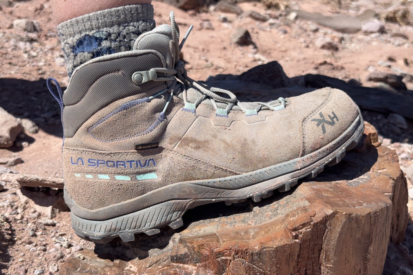 A close up of a TX Hike boot on a petrified log.