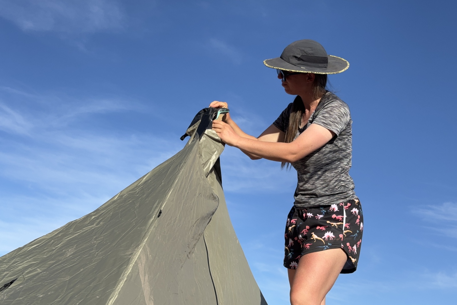 A person is holding the top of the MLD tent and a trekking pole is poking out of the peak. There is blue sky in the background.