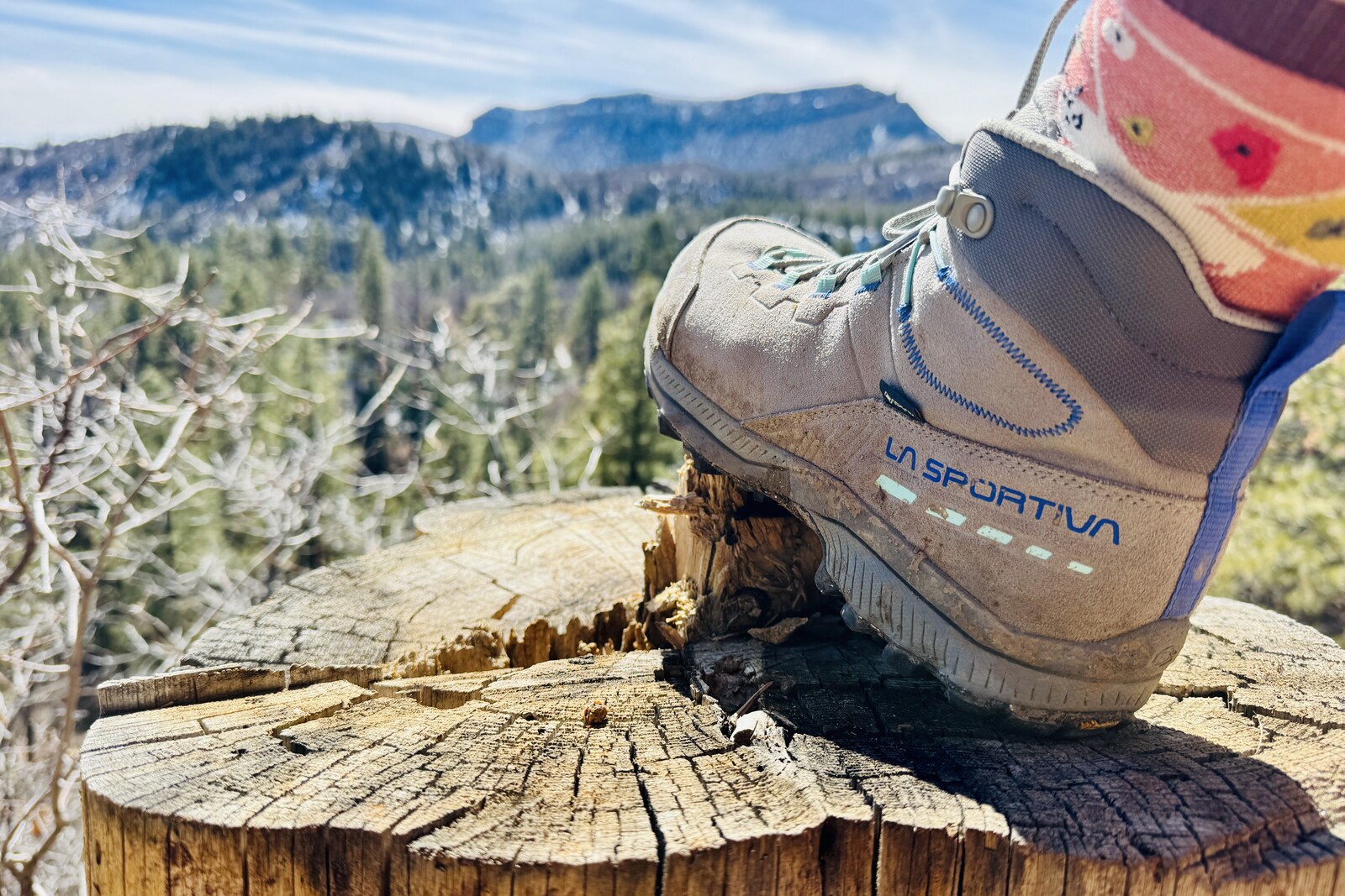 A closeup of the TX Hike boots as a person props their foot on a log. There are trees with some snow in the background.