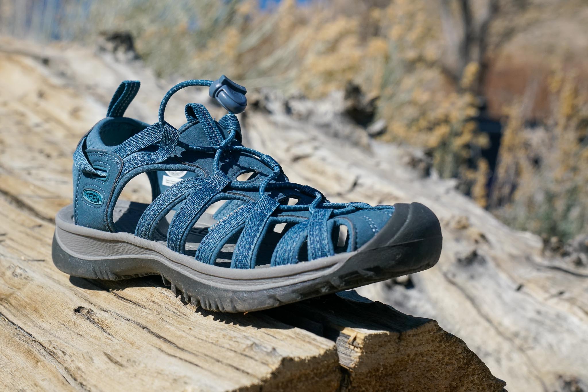 A close up of a single sandal resting on a log.