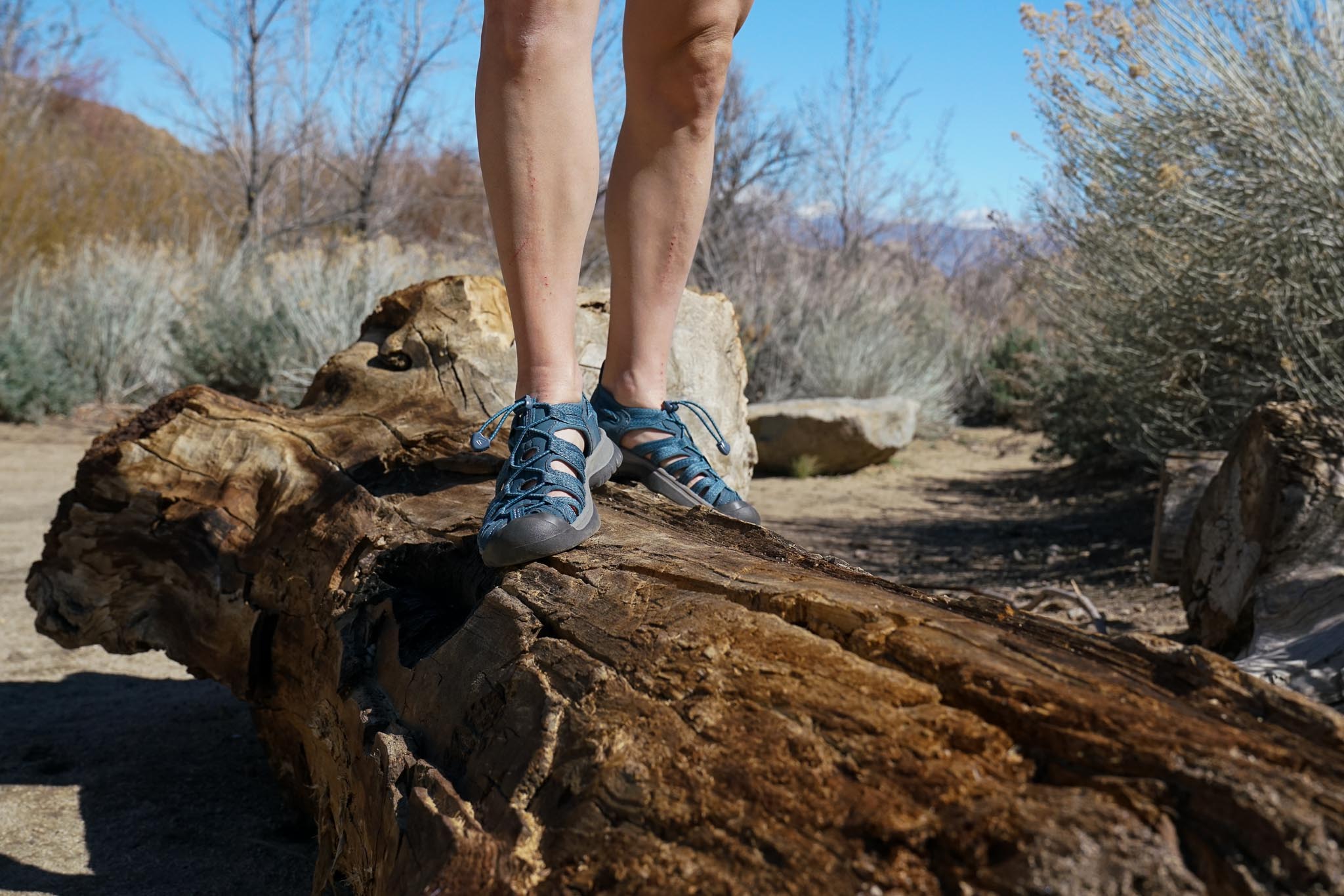 A close up of a person's feet wearing sandals walking on a fallen log.