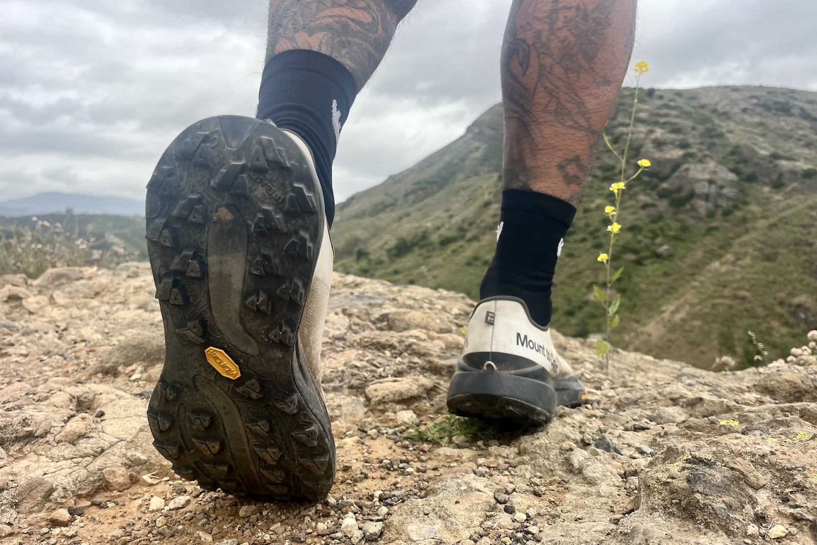 mount-to-coast-t1-traction
