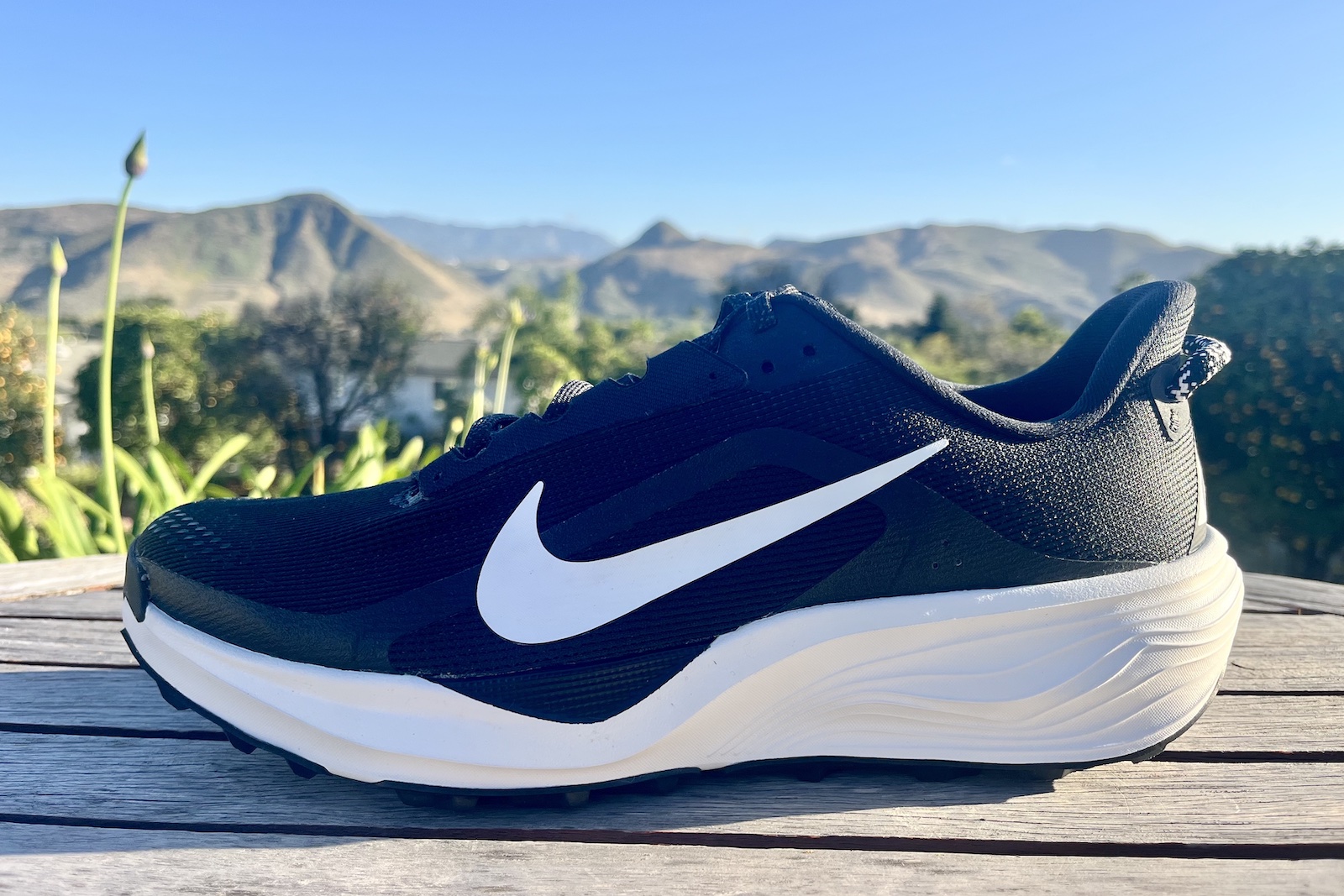 nike-acg-pegasus-trail-profile