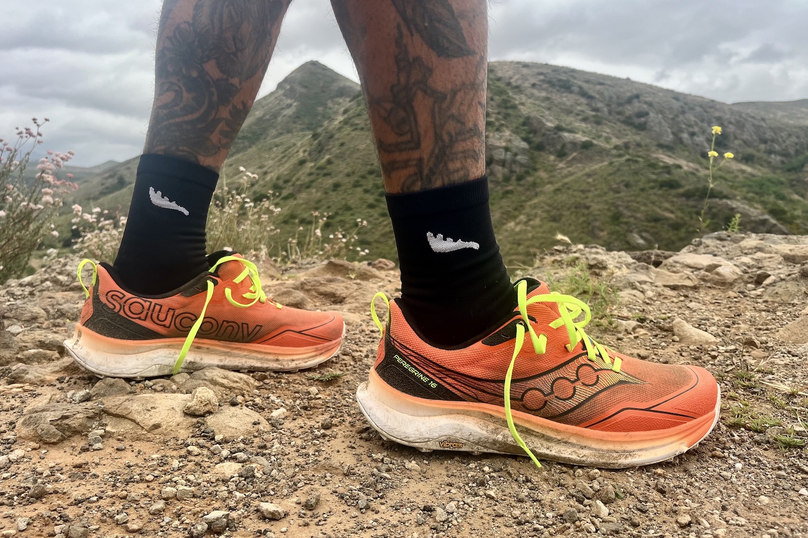 saucony-peregrine-16-main