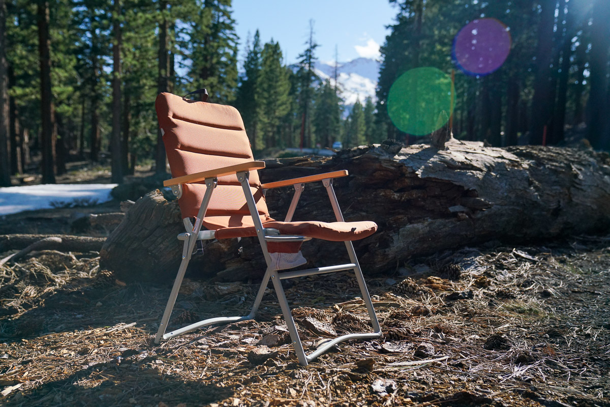 A folding camping chair sits empty next to a fallen log in a pine forest.