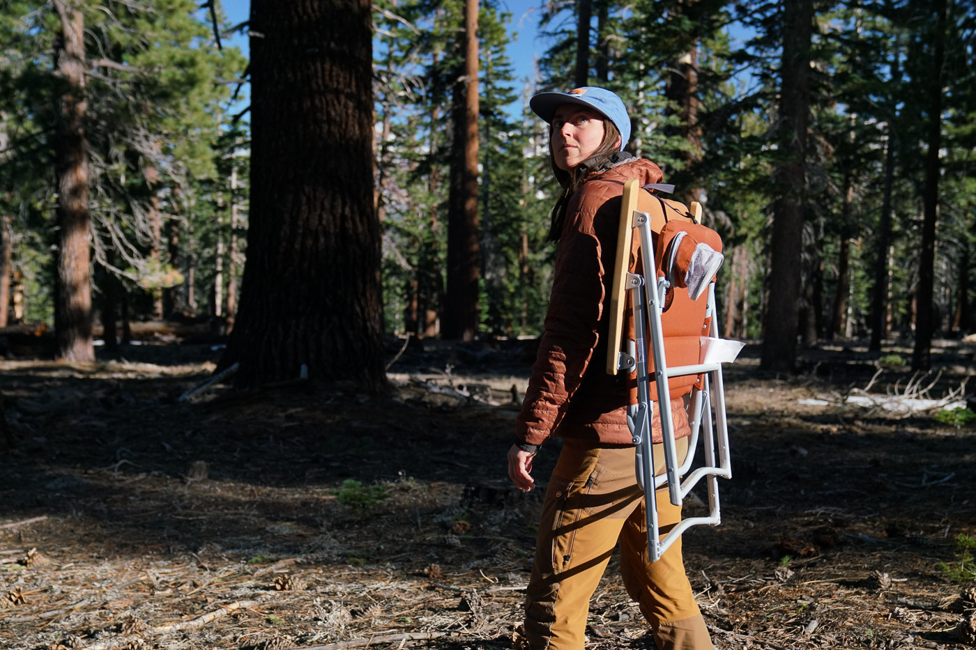 A person walks in a pine forest with a folded camping chair strapped to their back.