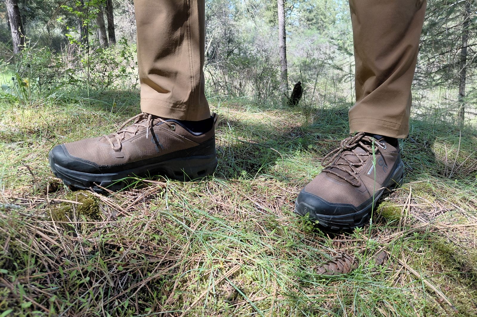 Close-up of feet in brown hiking shoes on a forest floor with pine needles and a pine cone.