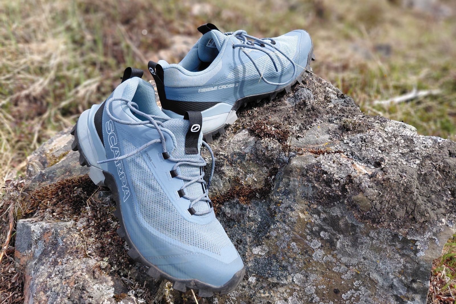 Light blue Scarpa hiking shoes on a rock in an outdoor setting.