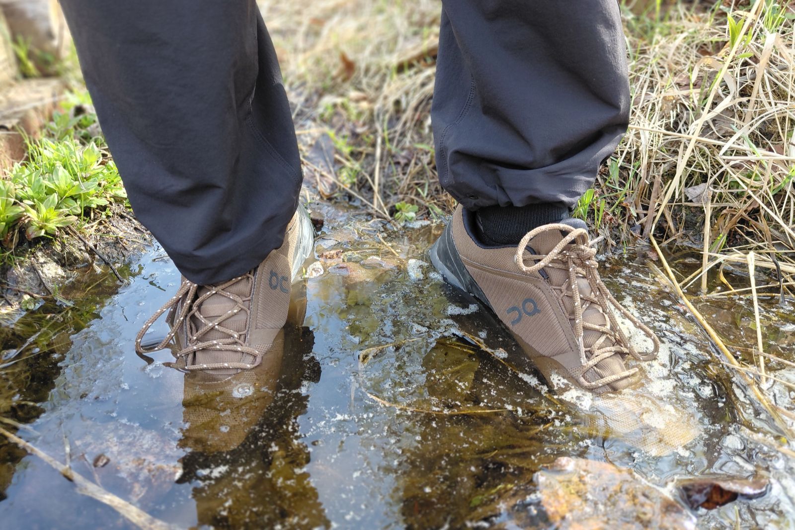 Two brown athletic shoes in a shallow stream surrounded by grass.