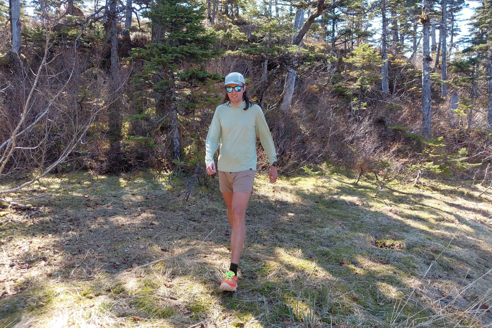 A person walks along a sunlit meadow through a sparse forest.