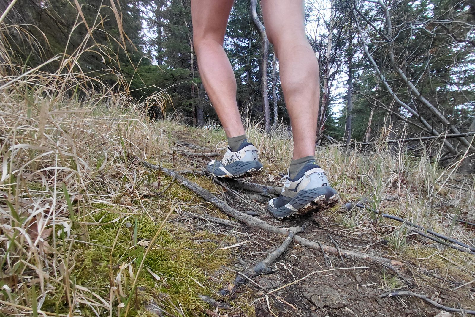 A closeup of shoes worn walking up a rooty trail.