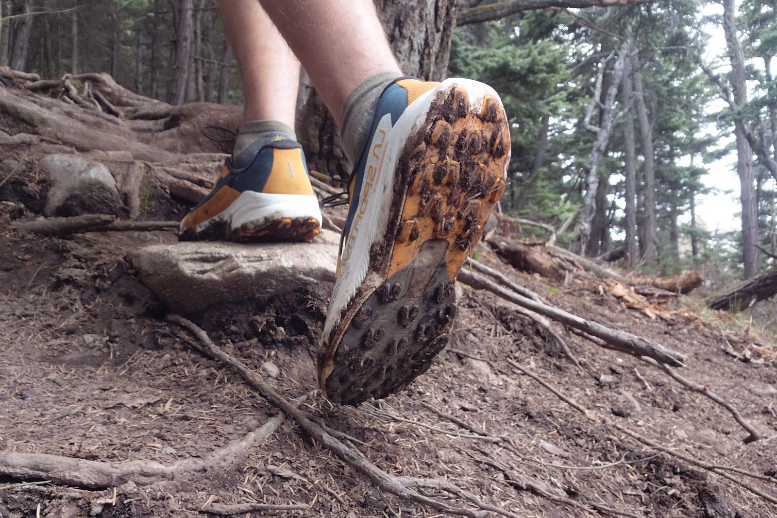 Close-up of a muddy trail shoe on a forest path with roots and trees in the background.