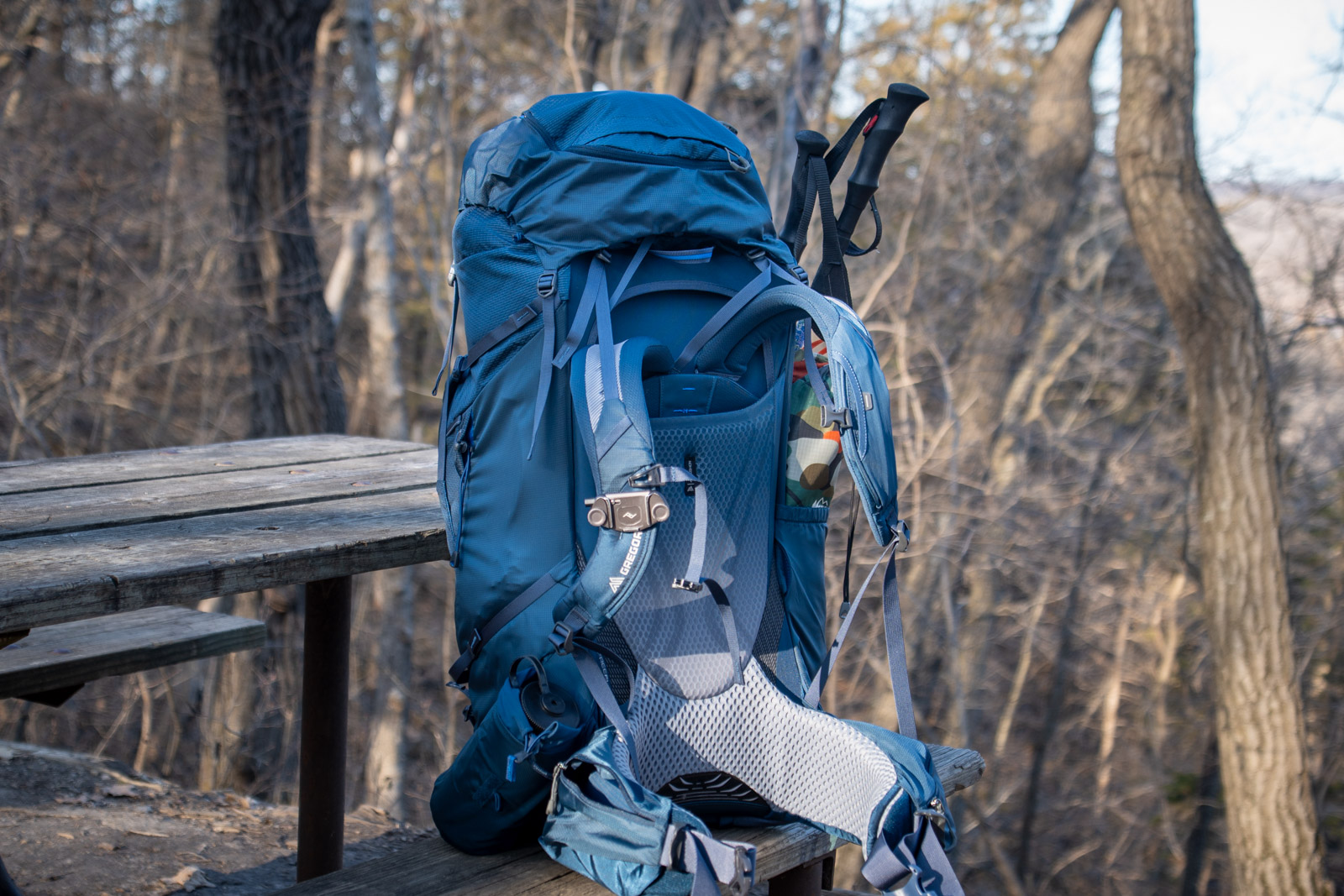A blue backpack sits on a park bench in a State Park forest
