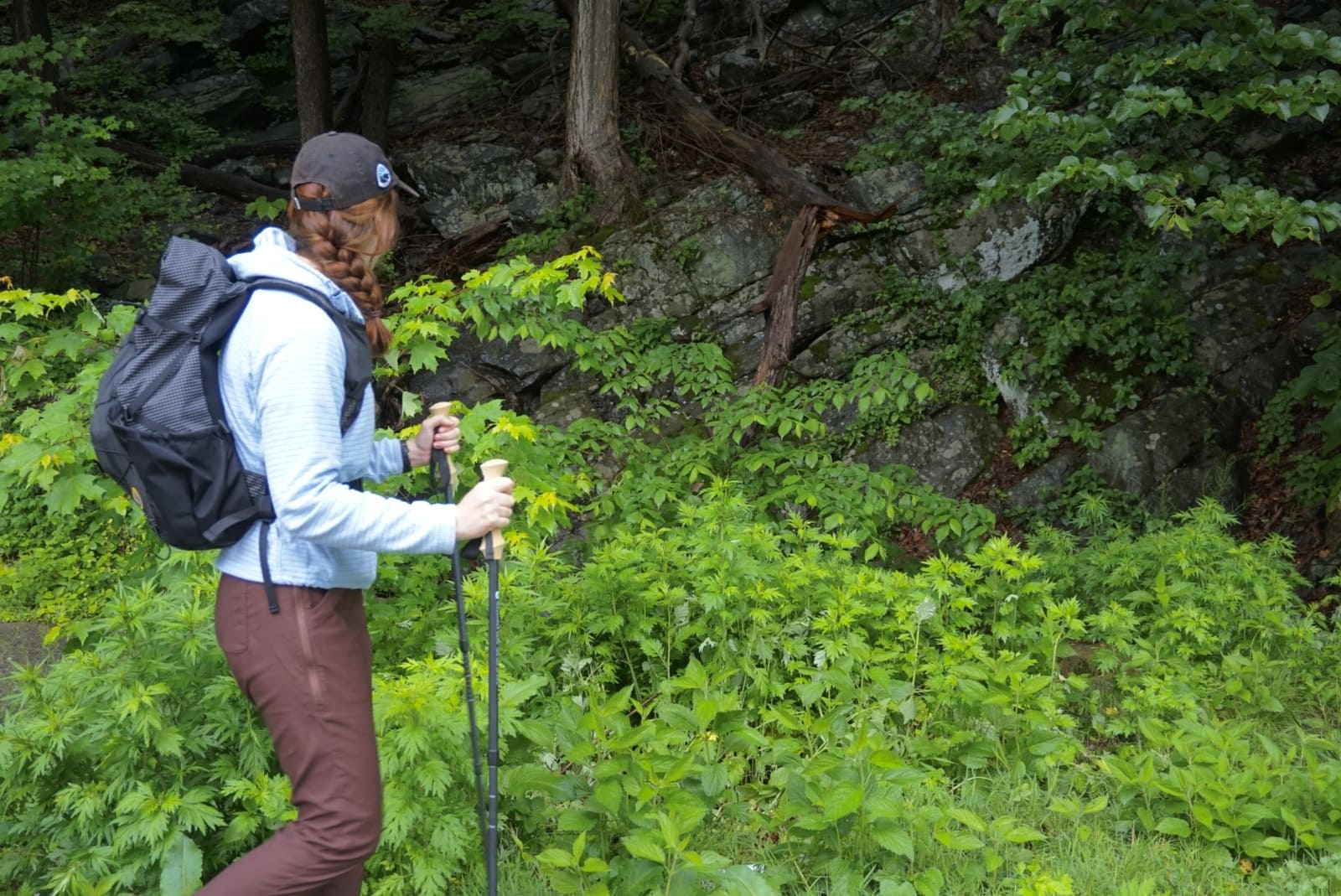 Woman hikes while looking at foliage