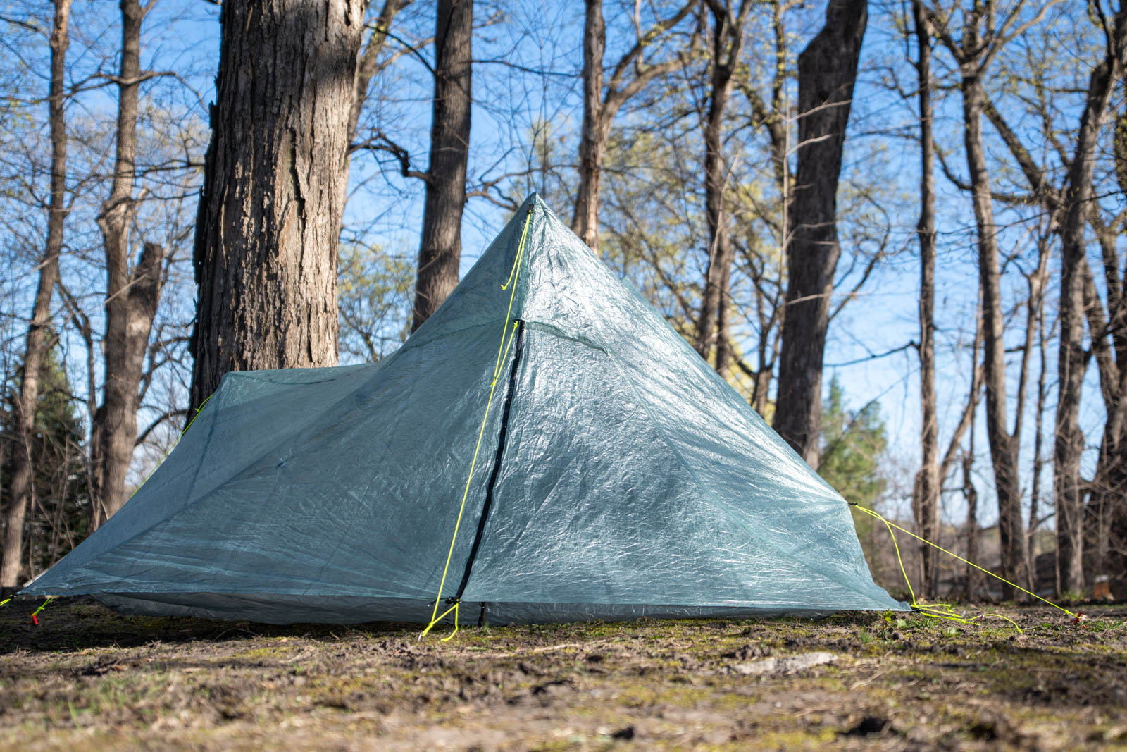 a tent sits in a forest
