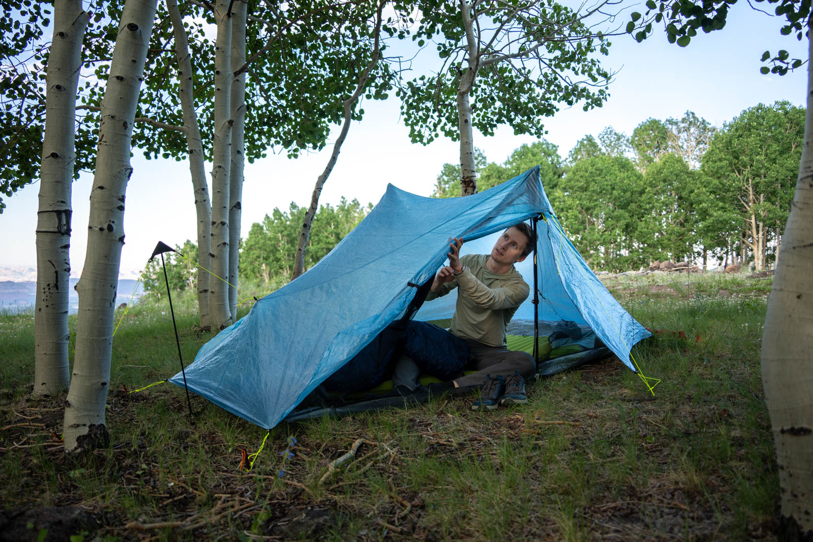 A man sits in a blue tent in an aspen forest