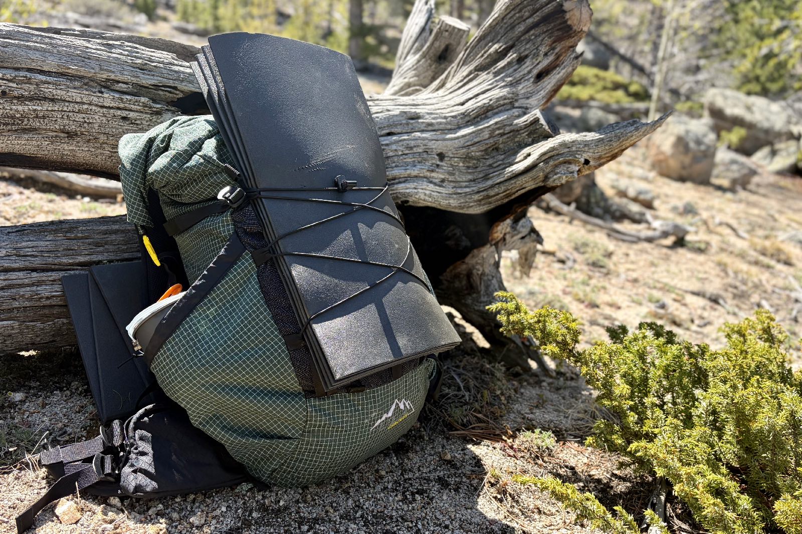 a green backpack leans against a log with a grey foam pad attached to it