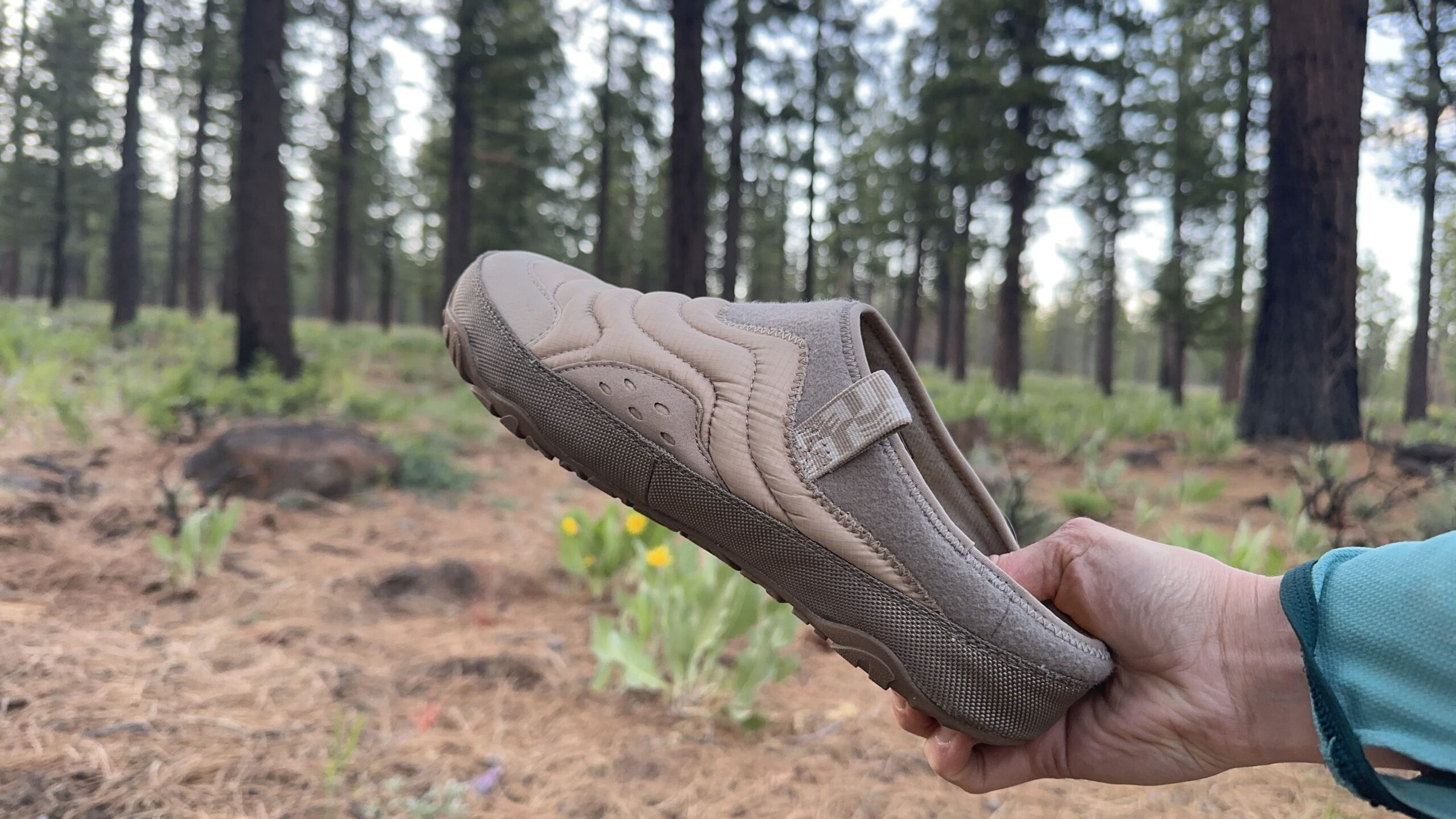 A woman holds up a slipper in front of a forest.