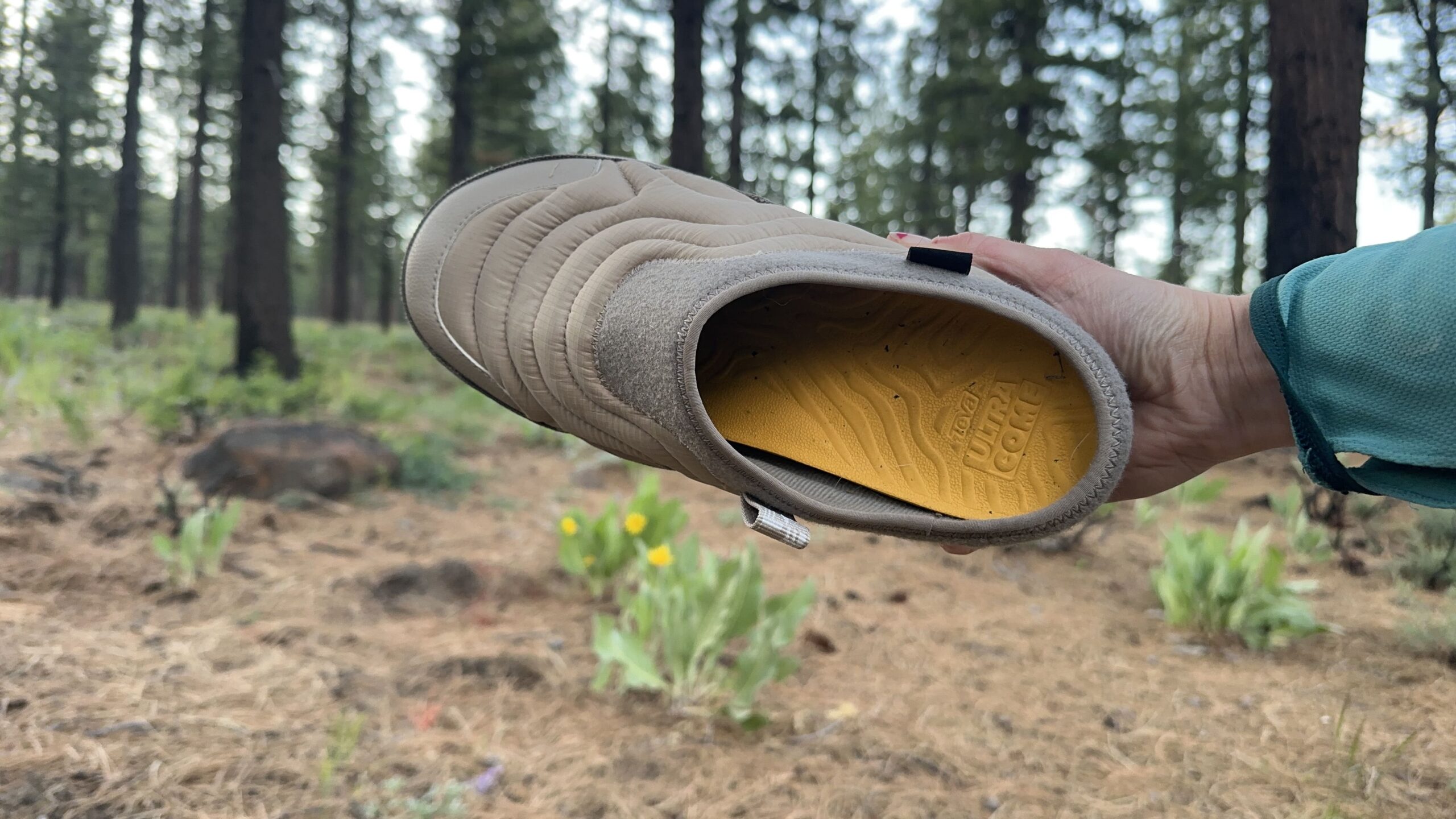 A woman holds up a shoe with the top of the shoe facing the camera and a forest in the background.
