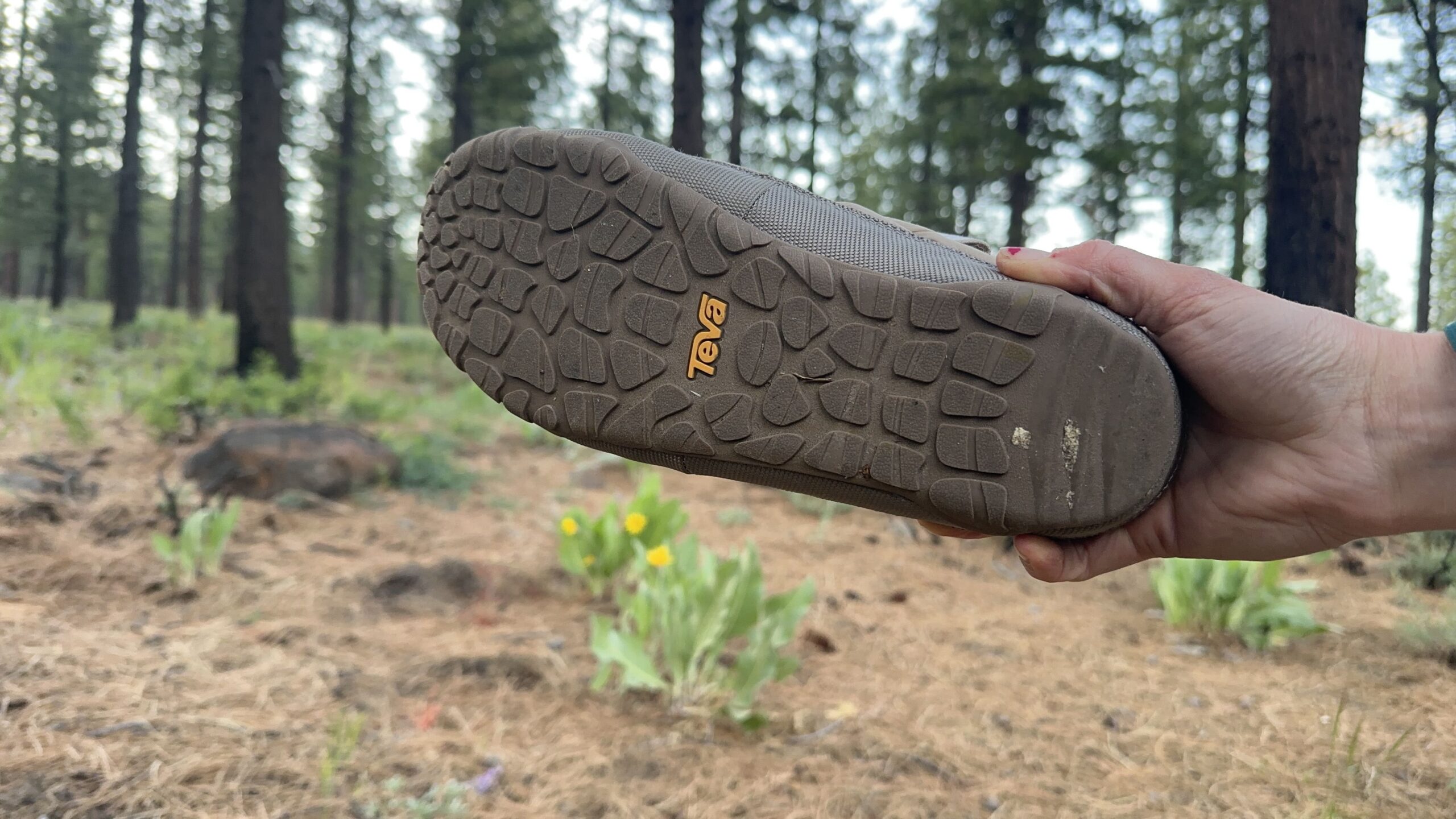 A woman holds up a shoe with the outsole facing the camera and a forest in the background.
