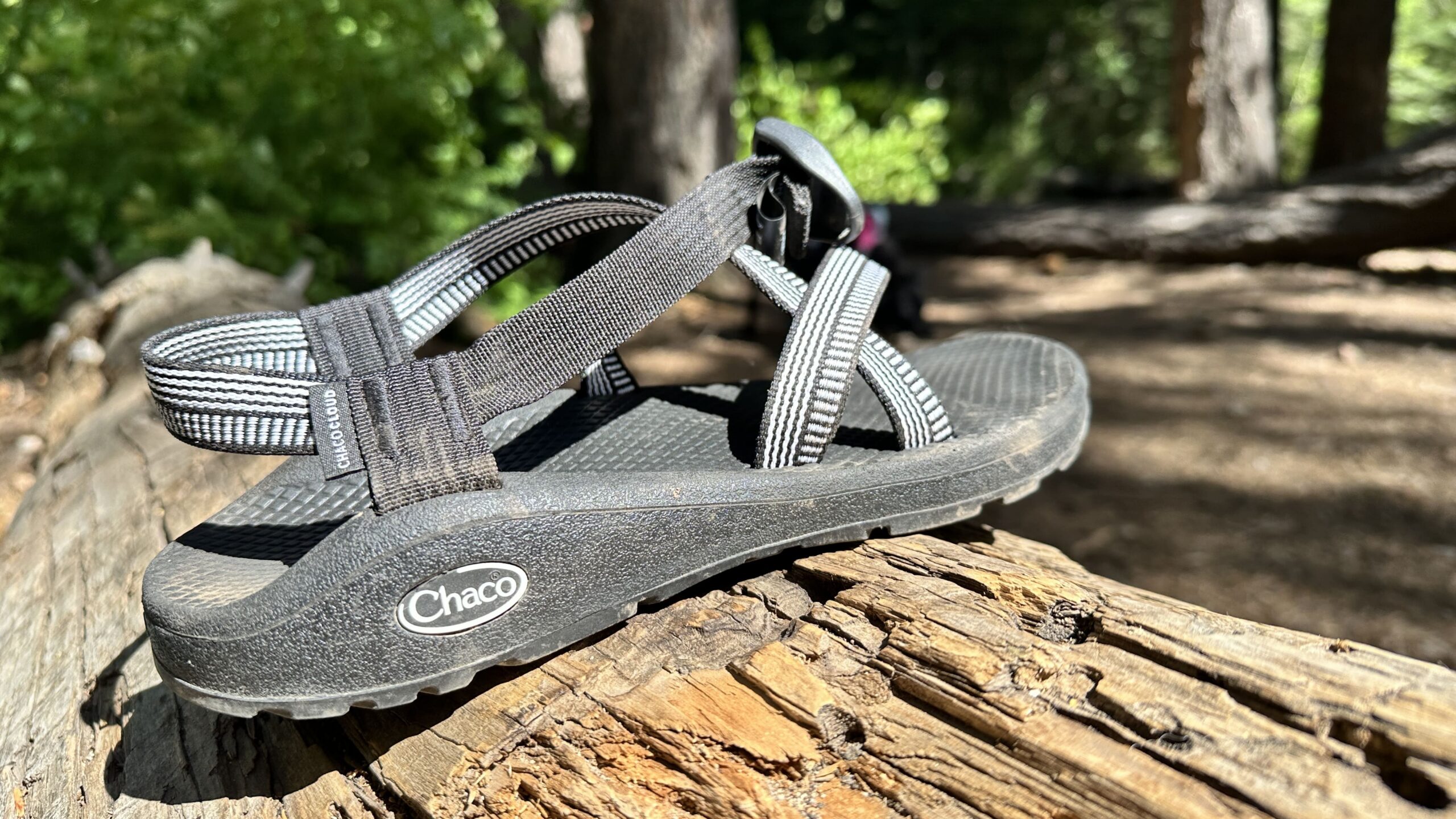 A black sandal sits on a log in the woods.
