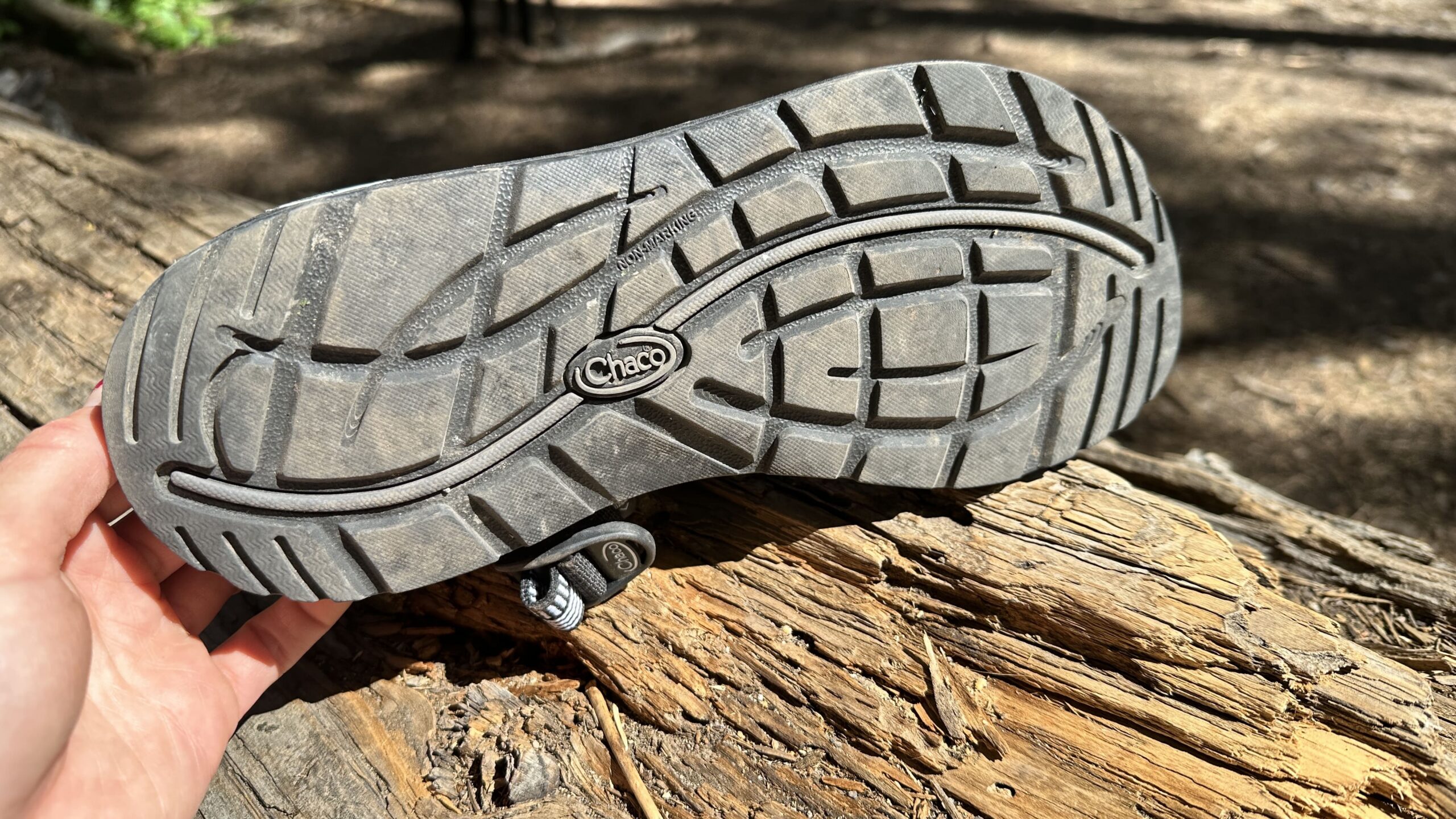 A black sandal sits on a log in the woods.