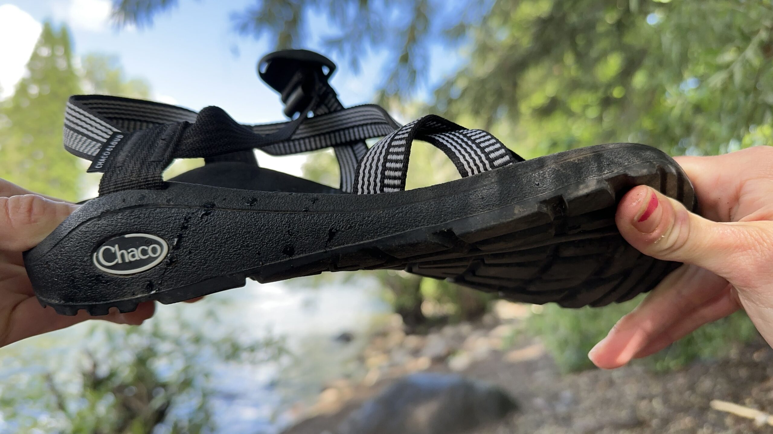 A woman holds a black sandal up to the camera.