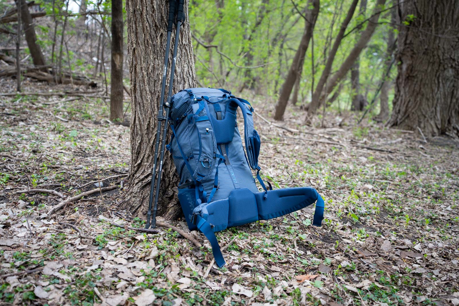 Una mochila azul se apoya contra un árbol en un bosque