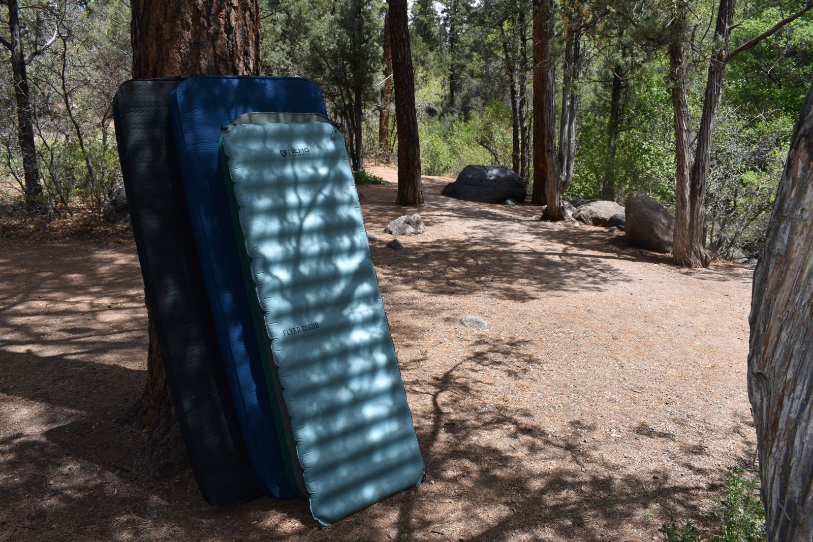 3 camping mattresses lean against a Ponderosa Pine in a picnic area in the Jemez Mountains