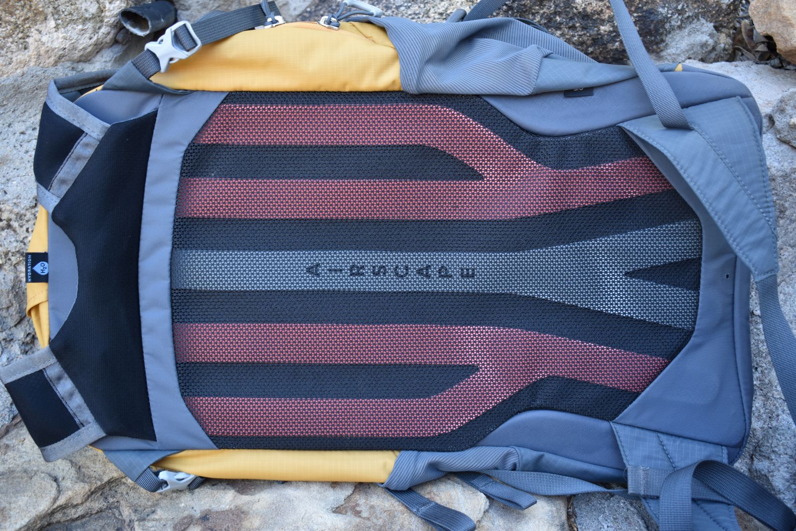 Close up of the mesh-covered, ventilated foam back panel of the Osprey Sportlite 20 daypack