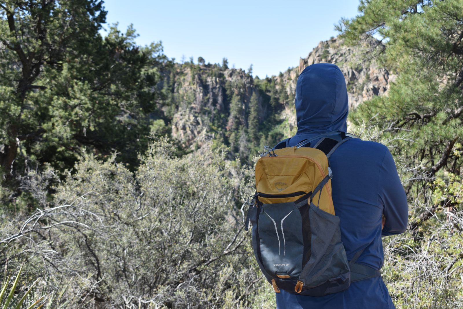 Rear view of our hiker looking at desert mountains while wearing the Osprey Sportlite 20 daypack