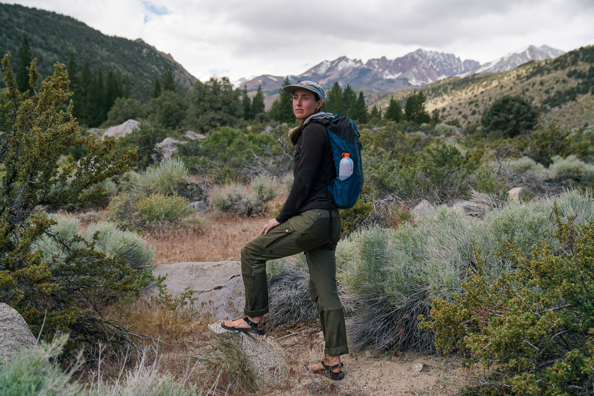 A person stands on a trail surrounded by bushes and mountains in the background.