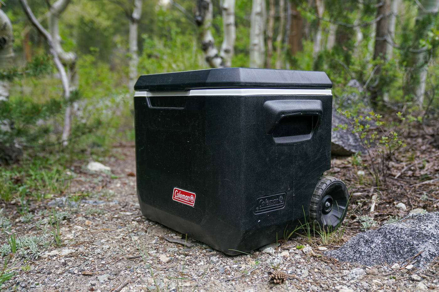 A close up of a cooler sitting on the ground in a forest.