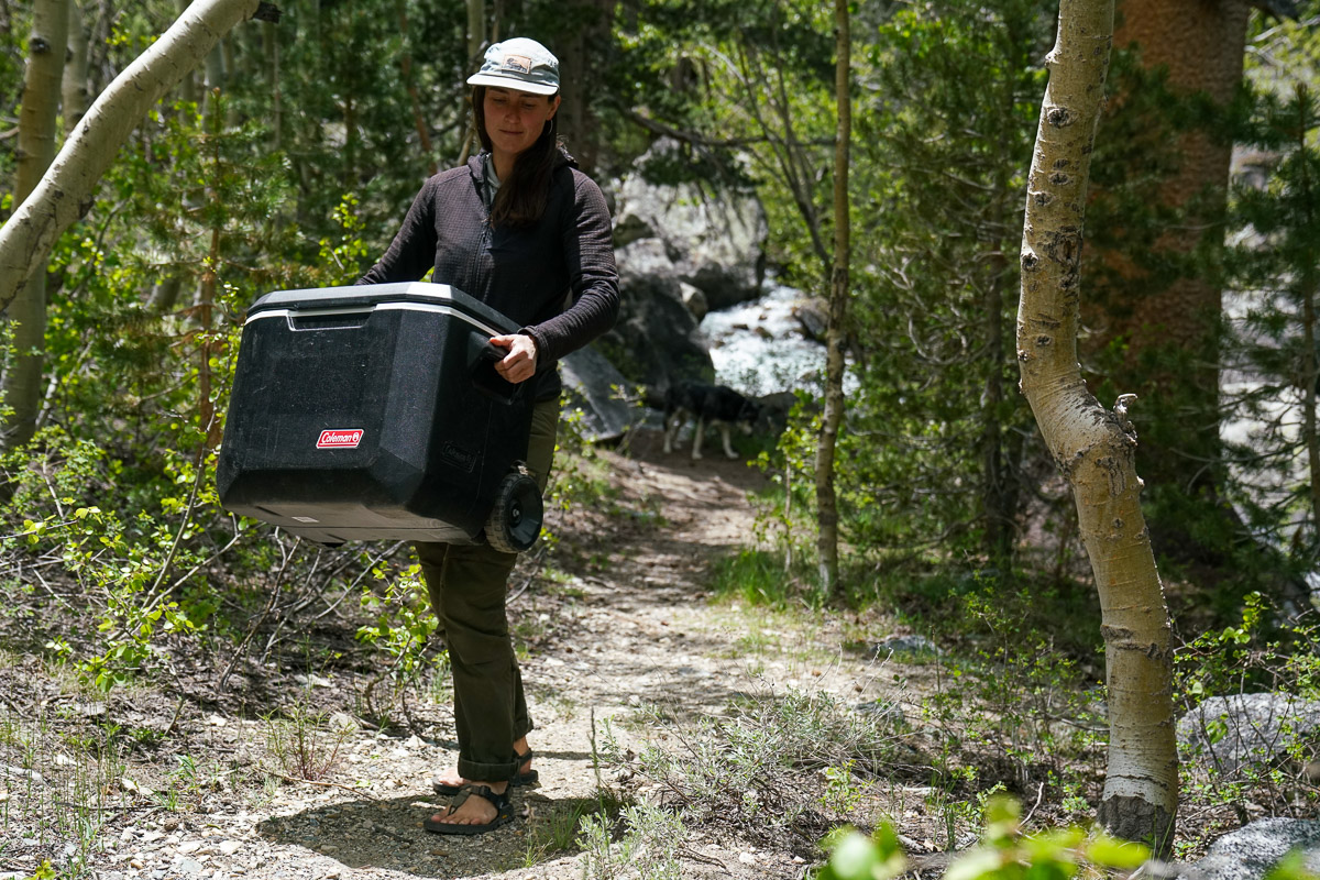 A person carries a cooler in hand along a forest trail.
