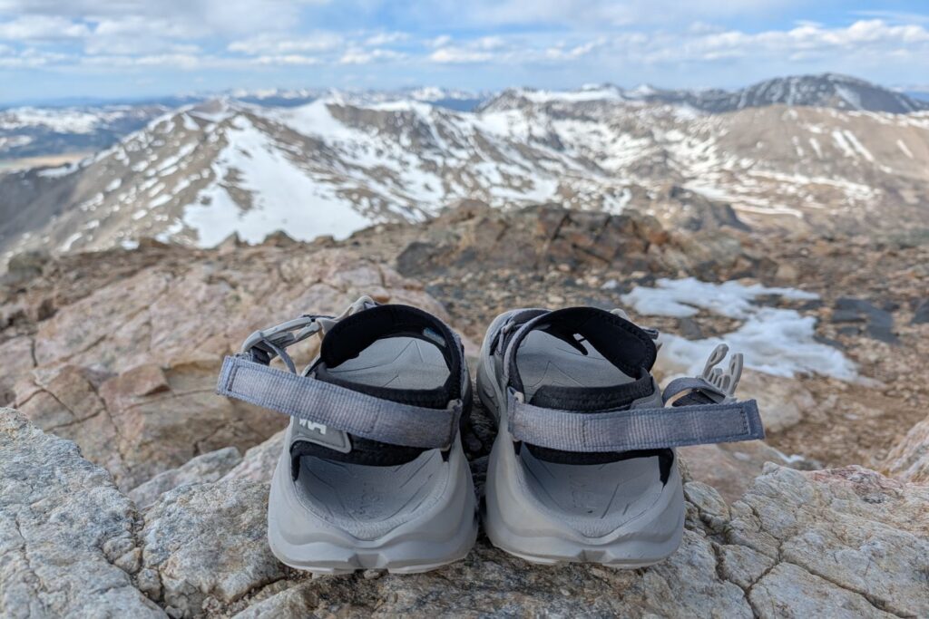 Summit views of the rear of the Hoka Infini Hike TC sandals.