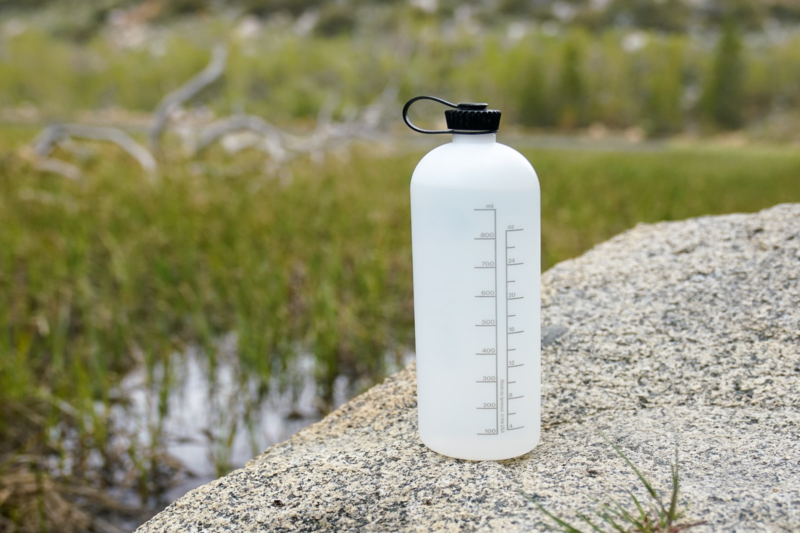 A water bottle stands on a rock with a marsh in the background.