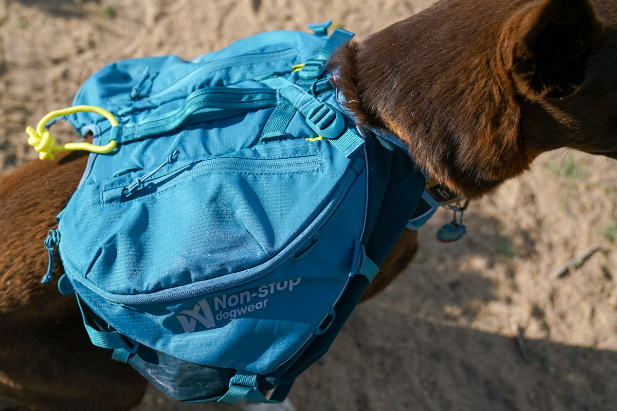 A close up of a pack worn by a dog.
