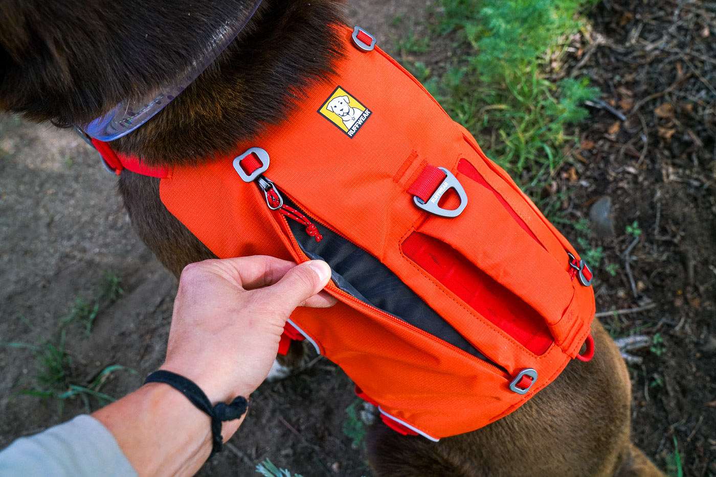 A close up of an unzipped open pocket on the harness of a dog pack. A dog wears the harness and a person's hand pulls the pocket open.