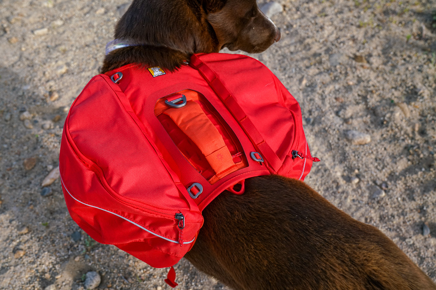 A close up of the top of a dog pack. A dog wears the red pack and the top of the saddlebags are visible.
