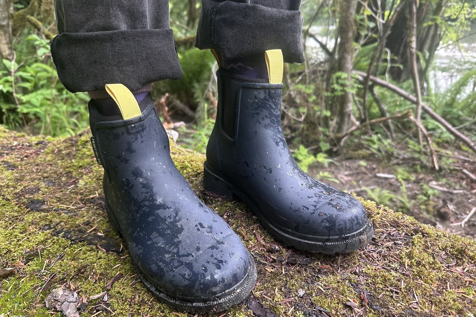 Close up of navy ankle rain boots standing on a moss-covered log