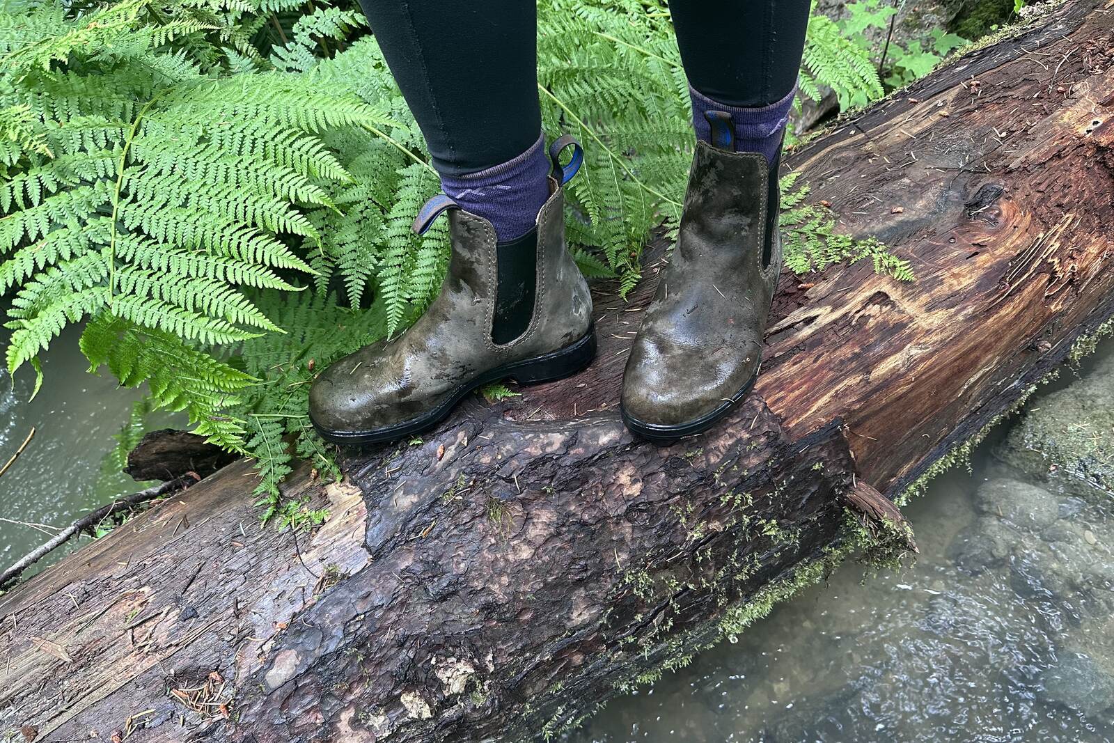 Close-up of leather ankle boots standing on a wet log over a small creek.