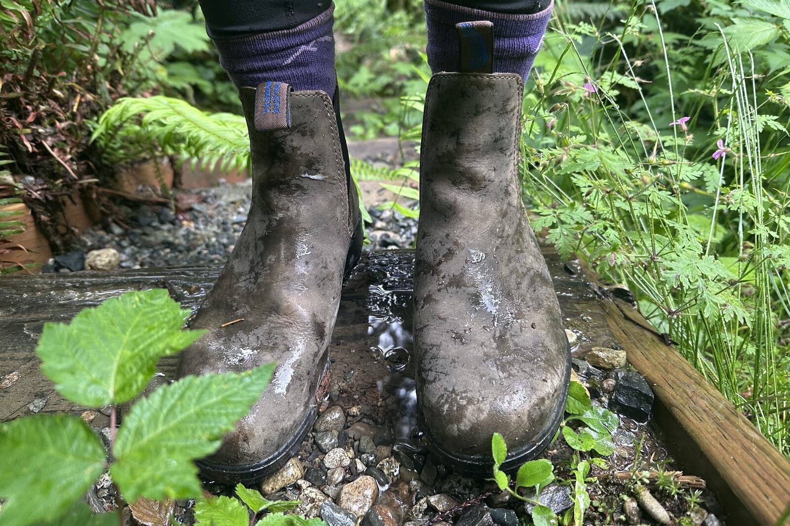 Close up of leather boots standing on a wet, rocky trail.