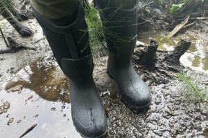 Close up of tall, black rubber rain boots with black neoprene liners standing on muddy wet ground.